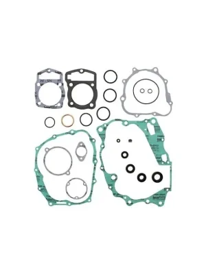 Winderosa sada těsnění motoru Honda CTX200 02-11 Akční Nabídka