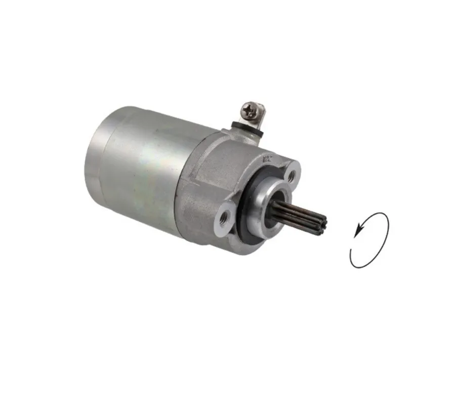 Startér motoru RMS 246390560 Jen Po Omezenou Doba