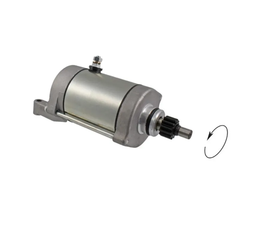 Odeslání Ihned Startér motoru RMS 246390520