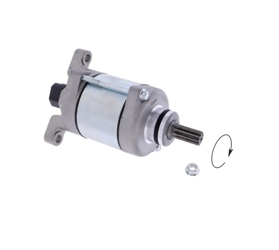 Startér motoru RMS 246390550 Ihned K Objednání