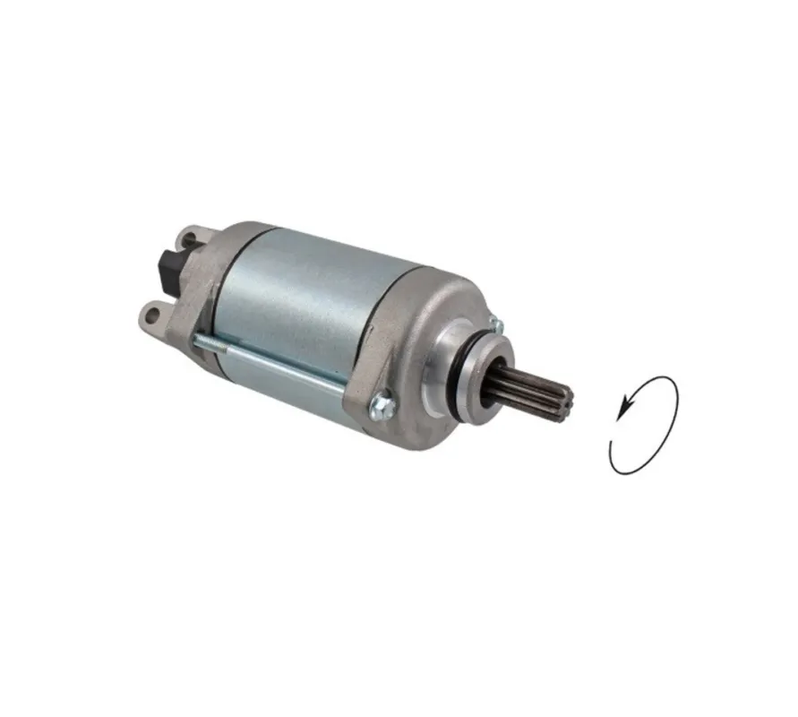 Startér motoru RMS 246390590 Akce