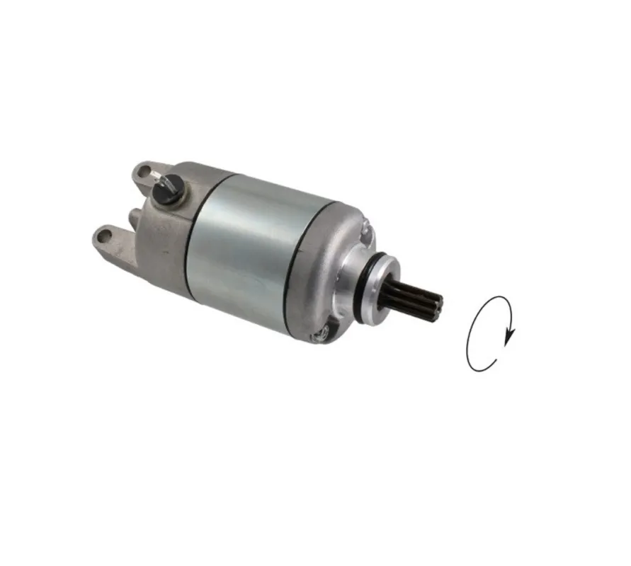 Koupit Online Startér motoru RMS 246390600