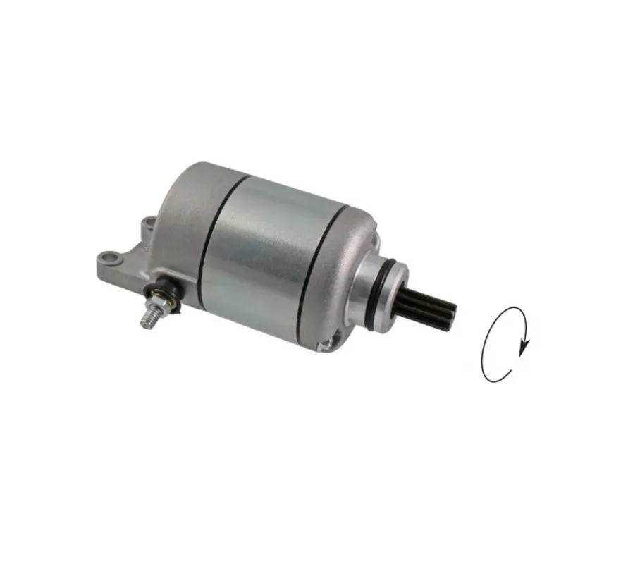 Startér motoru RMS 246390660 Jen Po Omezenou Doba