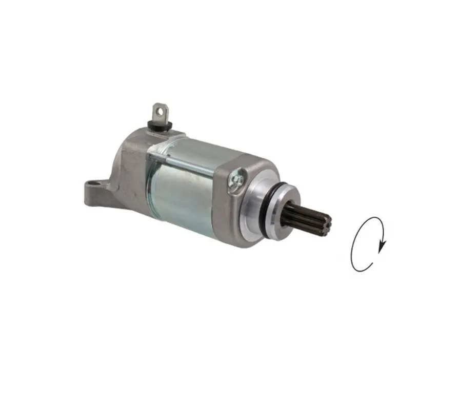 Startér motoru RMS 246390720 Značkový