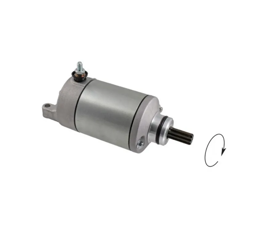 Aktuální Startér motoru RMS 246390790