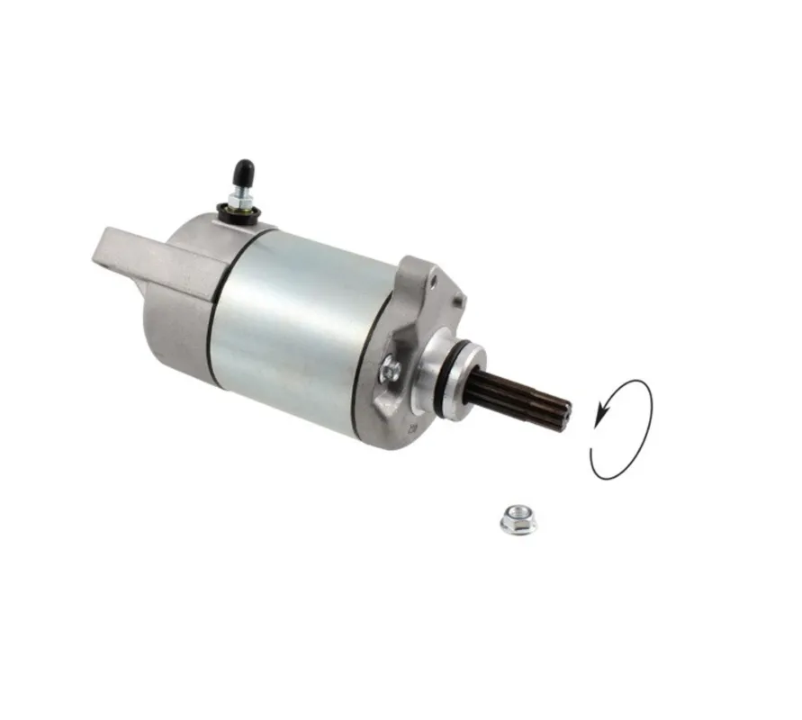 Startér motoru RMS 246390830 Zlevněný