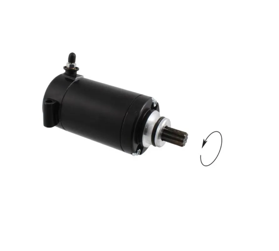 Startér motoru RMS 246390840 Novinka
