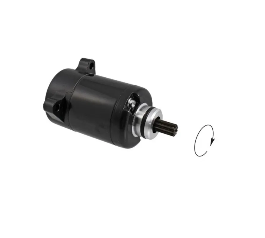 Startér motoru RMS 246390850 Poslední Šance