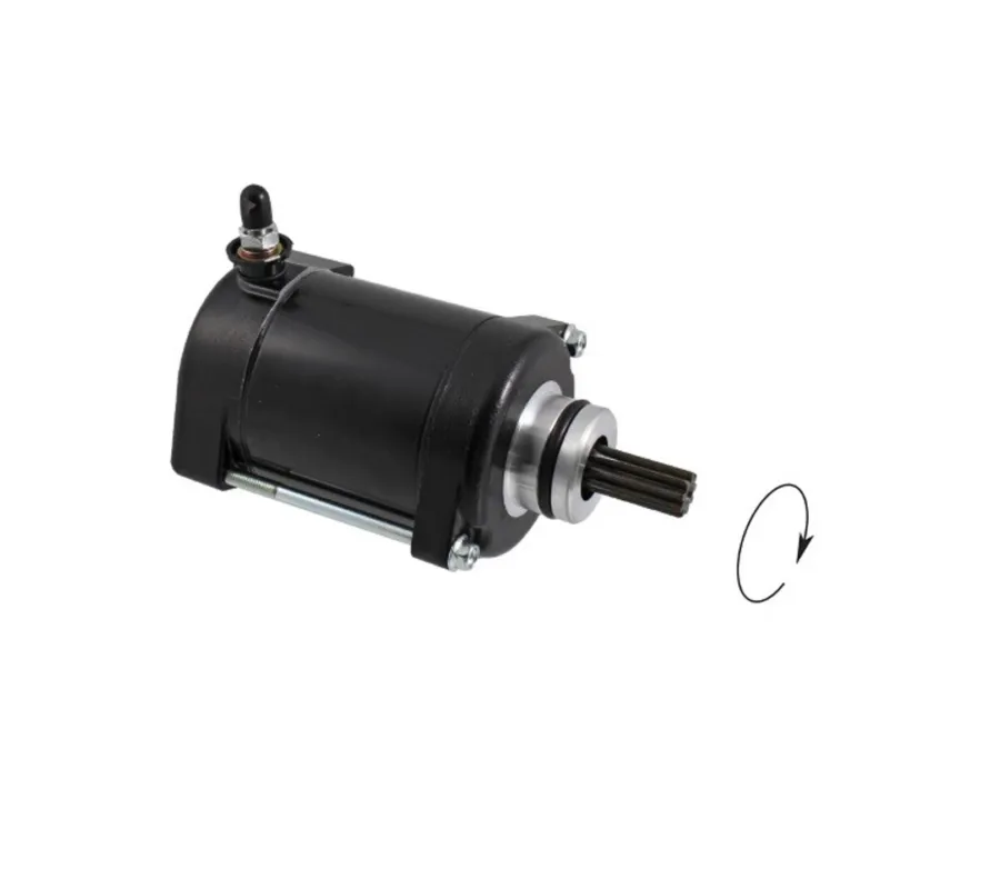 Cenová Bomba Startér motoru RMS 246390860