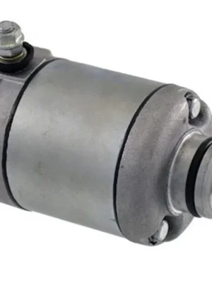Zlevněný Startér motoru RMS 246390400