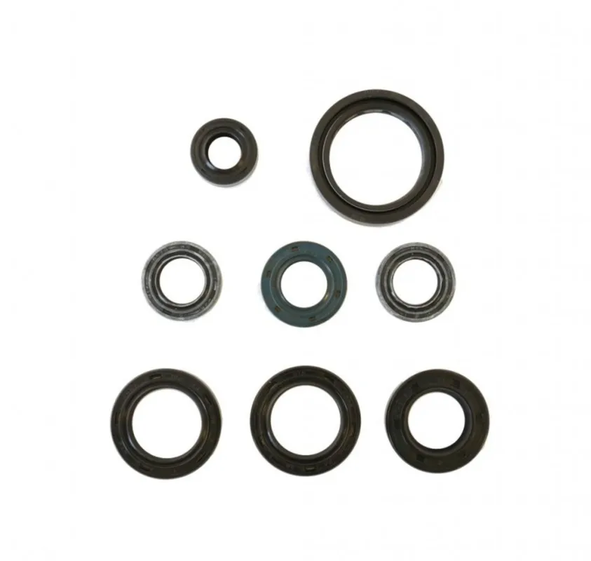 Sada gufer motoru ATHENA P400210400100 Must-Have