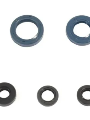Značkový Sada gufer motoru ATHENA P400210400124