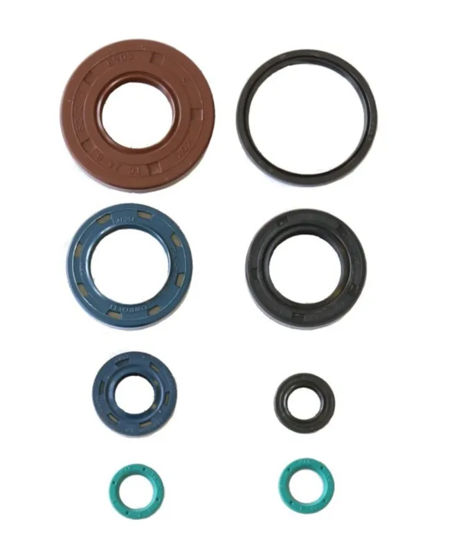 Nakupujte Hned Sada gufer motoru ATHENA P400210400217