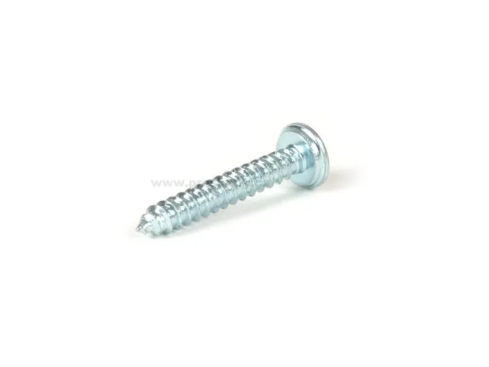 Značkový Šroub, závitový šroub s válcovou hlavou podobný DIN 7981 3,9x25mm (používá se pro upevnění MN4800, MN4801, MN4802, MN4803)